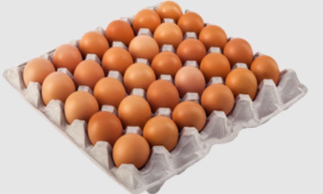 سعر طبق البيض اليوم الاثنين 15 ديسمبر 2025 في مصر داخل الأسواق والمحلات التجارية للمستهلك