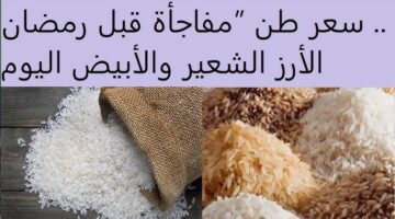 سعر طن الأرز الشعير اليوم 2
