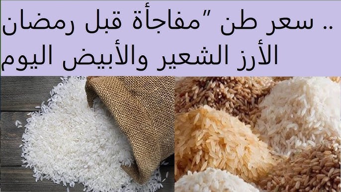 تذبذب سعر طن الأرز الشعير اليوم الثلاثاء 9 ديسمبر 2025 في السوق المحلي