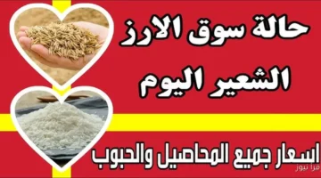 سعر طن الأرز الشعير اليوم