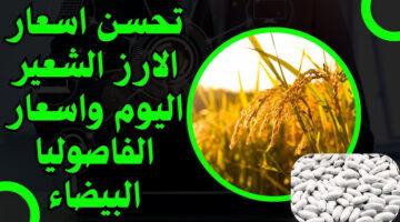 سعر طن الأرز الشعير اليوم 6
