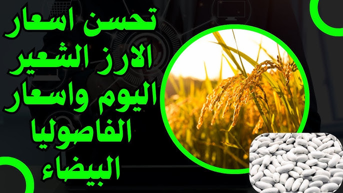 ” عريض ورفيع ” سعر طن الأرز الشعير اليوم الجمعة 19 ديسمبر 2025 في الأسواق