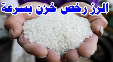 سعر طن الأرز الشعير اليوم 8