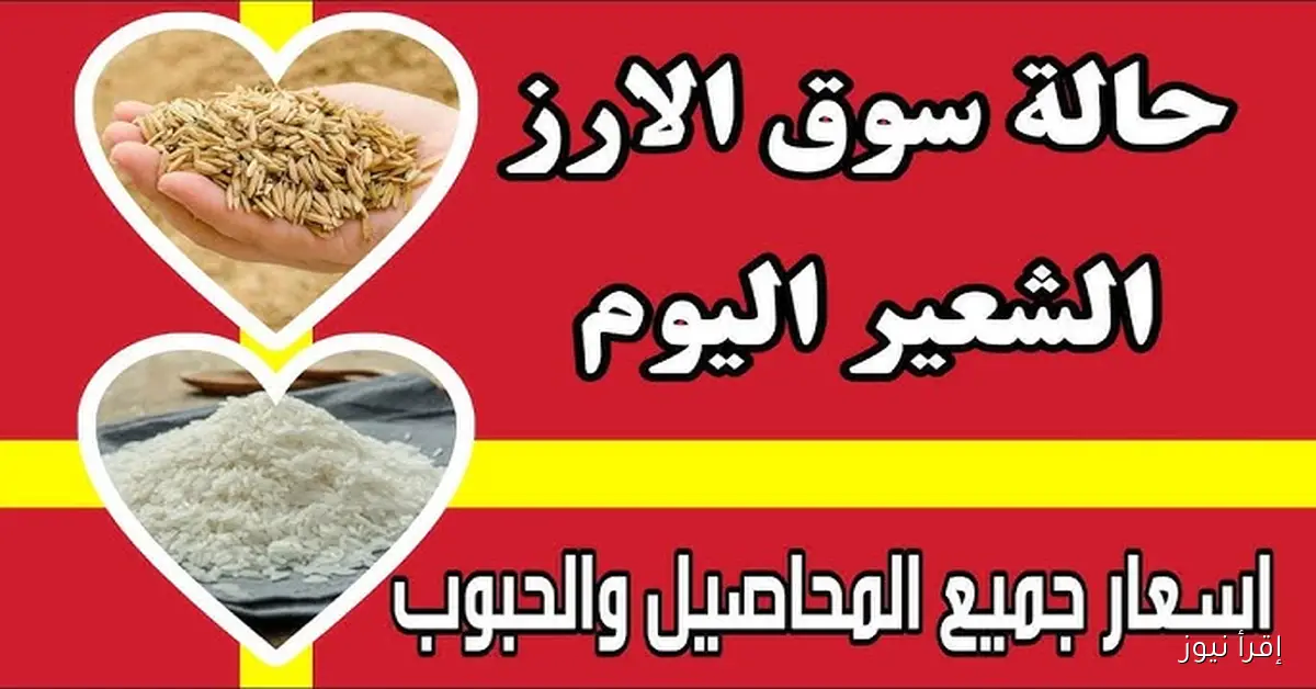 ” رفيع وعريض ” سعر طن الأرز الشعير اليوم الثلاثاء 2 ديسمبر 2025 في الأسواق المصرية