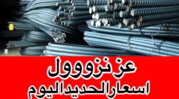 سعر طن الحديد اليوم حديد عز 10