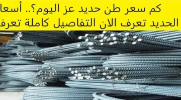 سعر طن الحديد اليوم حديد عز