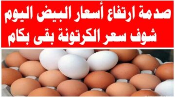سعر كرتونة البيض