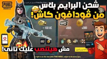 شحن شدات ببجي 2026 1