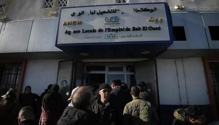 صرف منحة البطالة في الجزائر: إيه قيمة الزيادة والشروط الجديدة؟