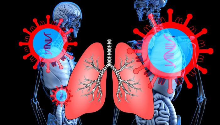 علماء يبتكرون رئات صغيرة في المختبر لاختبار الأدوية قبل تجربتها على البشر