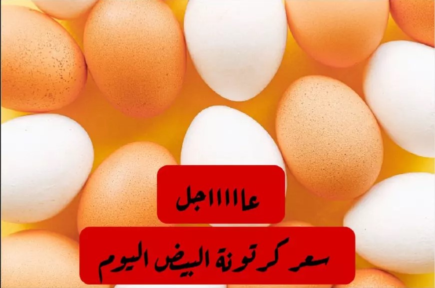 مفاجأة فـــ سعر طبق البيض اليوم الاثنين 8-12-2025 للمستهلك في الاسواق