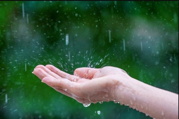 7 كلمــات لا تٌرد .. ادعية تقال عند نزول المطر 2026-1447 مكتوبة