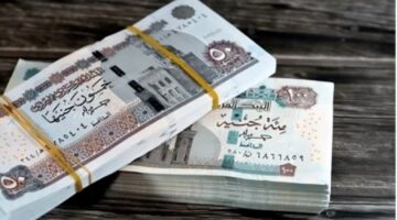 موعد صرف معاشات يناير 2026 2