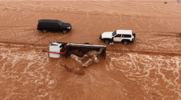 وادي الطوقي