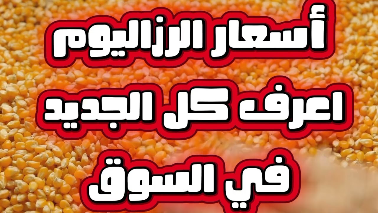 “هدوء ماقبل العاصفة” أسعار الأرز الشعير اليوم الخميس 1-1-2026 للمستهلك بجميع الاسواق التجارية