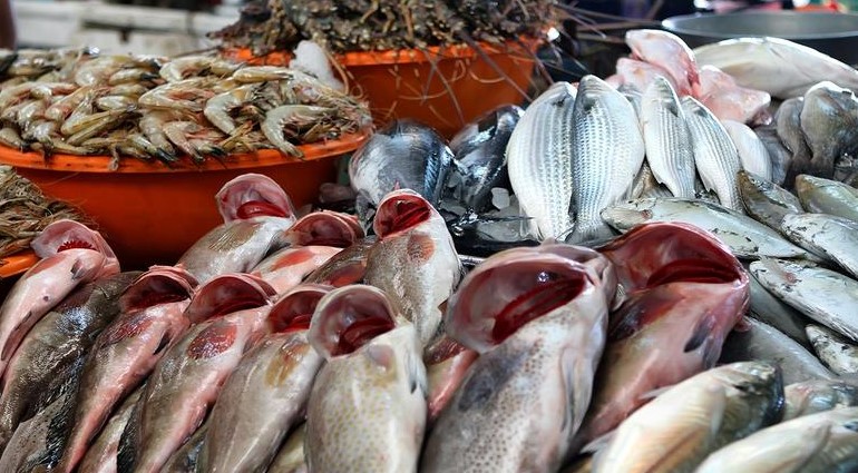 أسعار السمك اليوم الأربعاء 7 يناير 2026 في مصر داخل الأسواق والمحلات التجارية