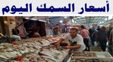 أسعار السمك اليوم
