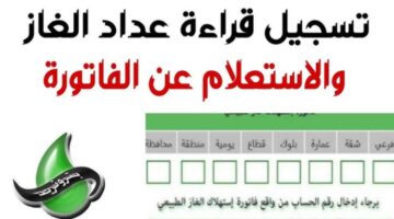 تسجيل قراءة عداد الغاز بتروتريد 2026