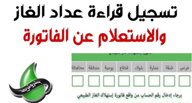 تسجيل قراءة عداد الغاز بتروتريد 2026 والاستعلام عن الفاتورة عبر الموقع الإلكتروني petrotrade.com.eg