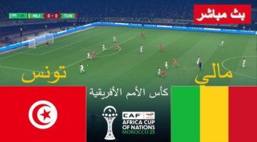 تونس ومالي