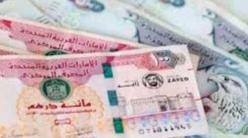 سعر الدرهم الإماراتي في البنوك المصرية اليوم مع أبوظبي الإسلامي