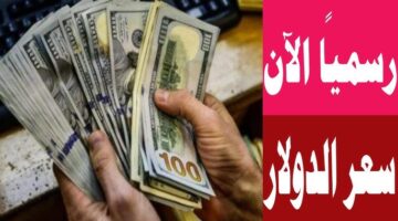 سعر الدولار اليوم مقابل الجنيه المصري