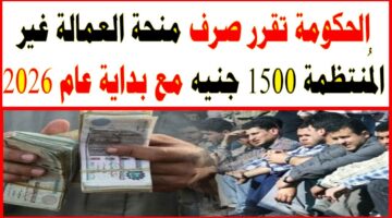 منحة العمالة غير المنتظمة 2026