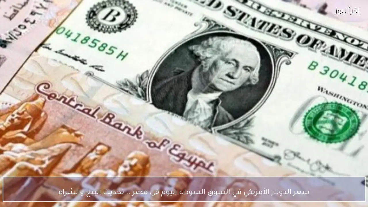 سعر الدولار في السوق السوداء اليوم بمصر .. تحديث البيع والشراء