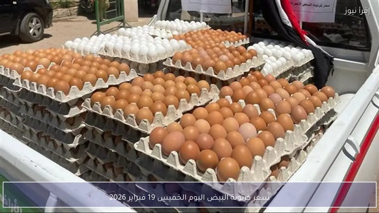 سعر كرتونة البيض اليوم الخميس 19 فبراير 2026