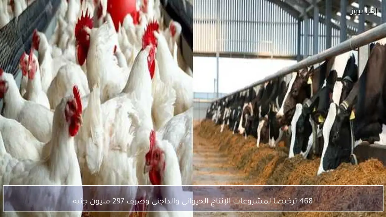 468 ترخيصا لمشروعات الإنتاج الحيواني والداجني وصرف 297 مليون جنيه