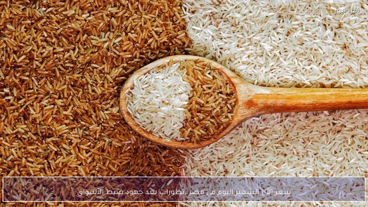 سعر الأرز الشعير اليوم في مصر .. تطورات بعد جهود ضبط الأسواق
