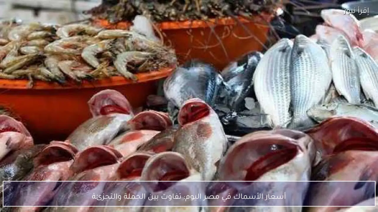 أسعار الأسماك في مصر اليوم: تفاوت بين الجملة والتجزئة