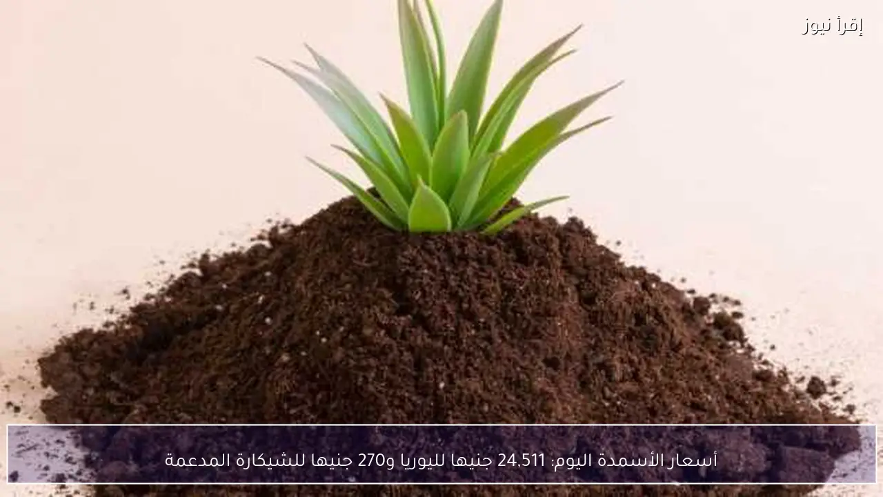 أسعار الأسمدة اليوم: 24,511 جنيها لليوريا و270 جنيها للشيكارة المدعمة