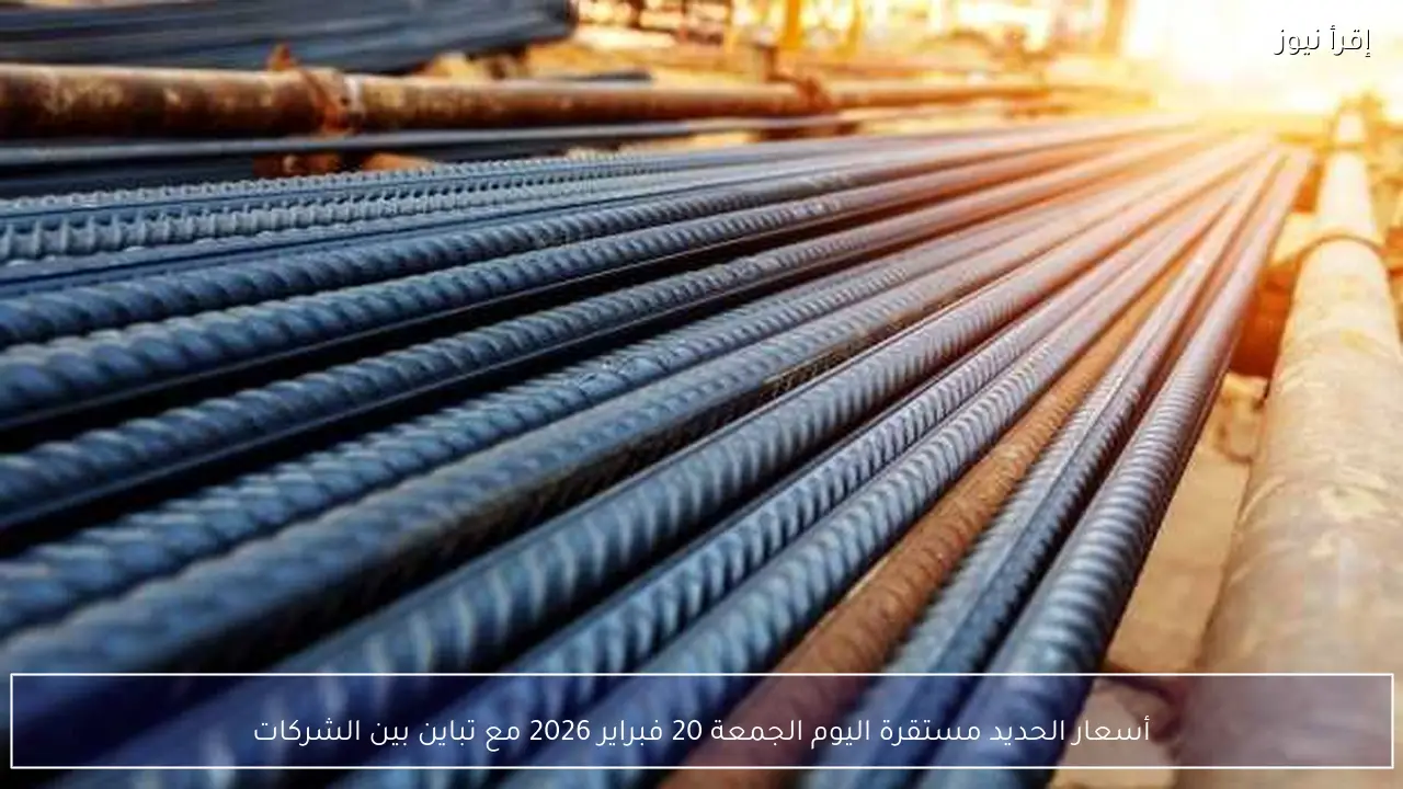 أسعار الحديد مستقرة اليوم الجمعة 20 فبراير 2026 مع تباين بين الشركات