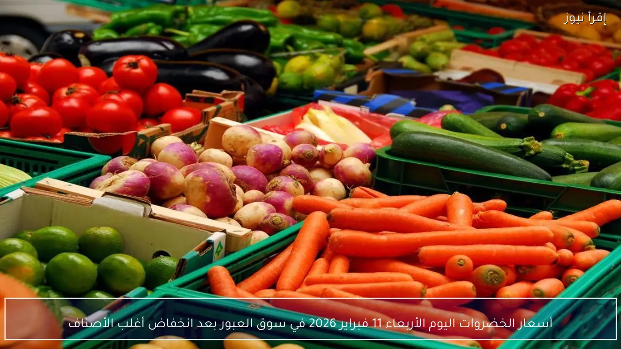 أسعار الخضروات اليوم الأربعاء 11 فبراير 2026 في سوق العبور بعد انخفاض أغلب الأصناف