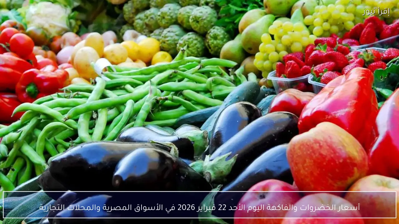 أسعار الخضروات والفاكهة اليوم الأحد 22 فبراير 2026 في الأسواق المصرية