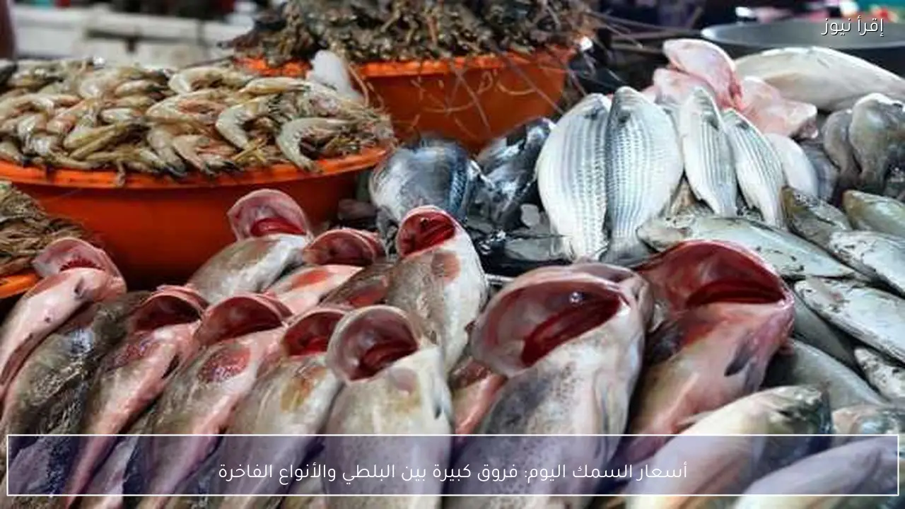 أسعار السمك اليوم: فروق كبيرة بين البلطي والأنواع الفاخرة