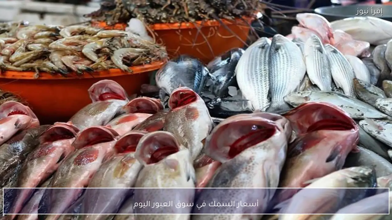 أسعار السمك في سوق العبور اليوم  الاثنين وانخفاض البلطي والمكرونة وتراجع بعض الأصناف