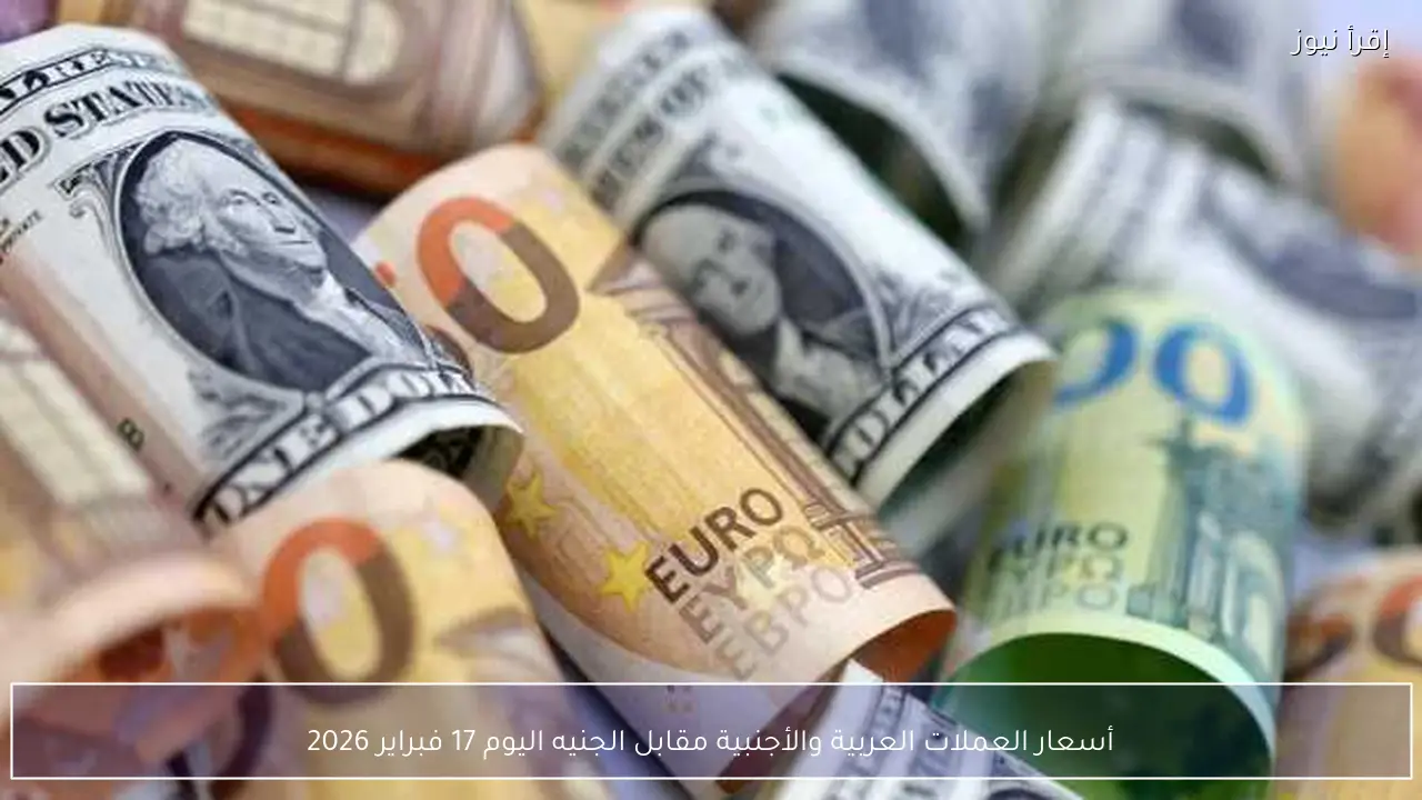 أسعار العملات العربية والأجنبية مقابل الجنيه اليوم 17 فبراير 2026