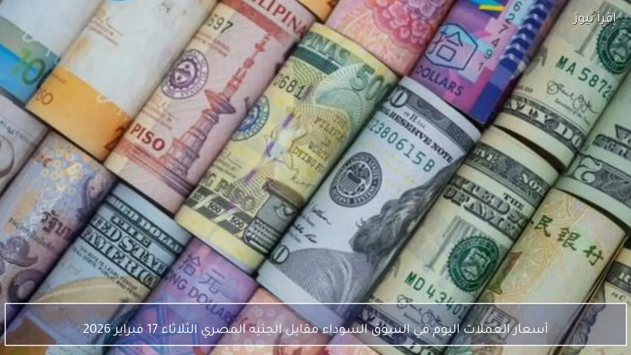 أسعار العملات اليوم في السوق السوداء مقابل الجنيه المصري الثلاثاء 17 فبراير 2026
