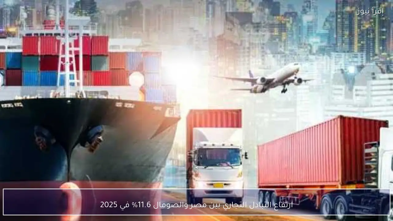 ارتفاع التبادل التجاري بين مصر والصومال 11.6% في 2025