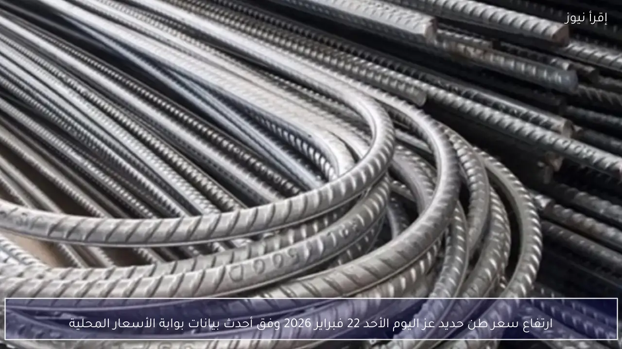 ارتفاع سعر طن حديد عز اليوم الأحد 22 فبراير 2026 وفق أحدث بيانات بوابة الأسعار المحلية