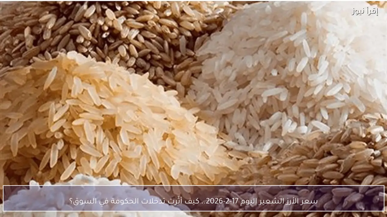 سعر الأرز الشعير اليوم 17-2-2026.. كيف أثّرت تدخلات الحكومة في السوق؟