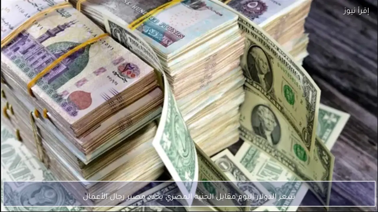 سعر الدولار اليوم مقابل الجنيه المصري يحدد مصير رجال الأعمال