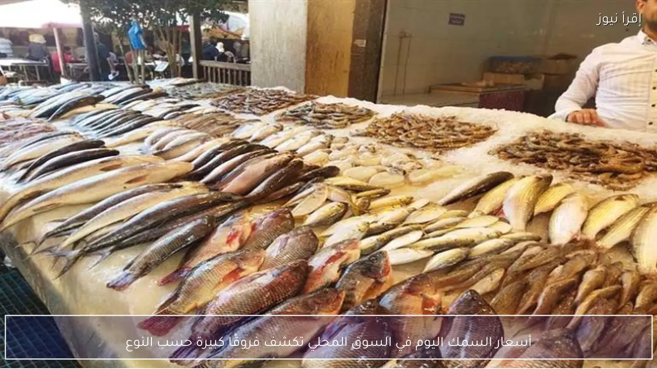 أسعار السمك اليوم في السوق المحلي تكشف فروقًا كبيرة حسب النوع