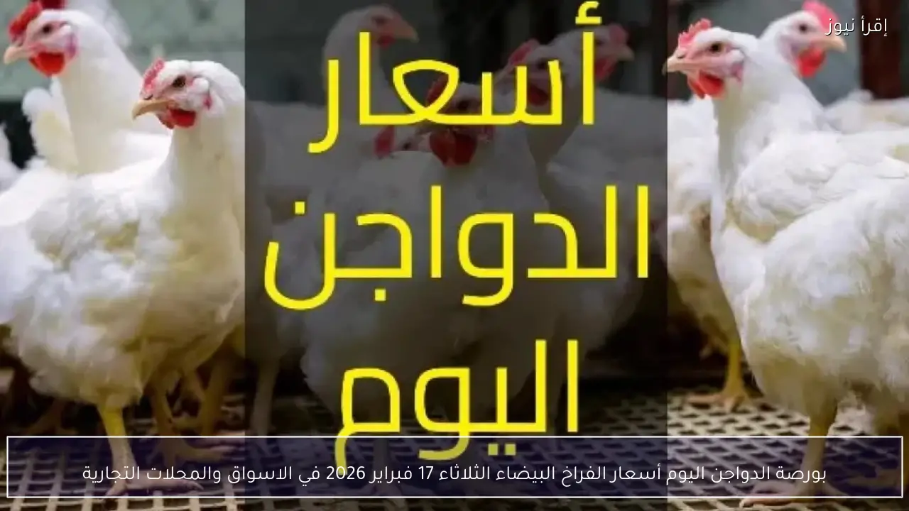 بورصة الدواجن اليوم أسعار الفراخ البيضاء الثلاثاء 17 فبراير 2026 في الاسواق والمحلات التجارية