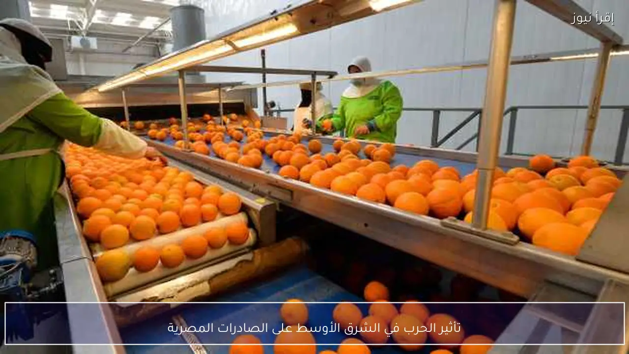 تأثير الحرب في الشرق الأوسط على الصادرات المصرية