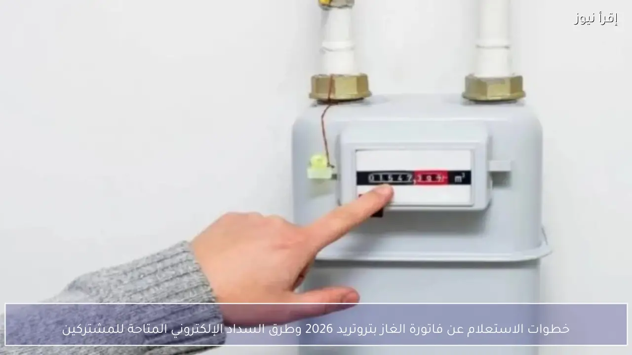 خطوات الاستعلام عن فاتورة الغاز بتروتريد 2026 وطرق السداد الإلكتروني المتاحة للمشتركين