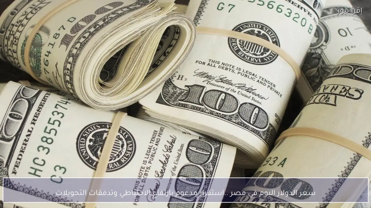 سعر الدولار اليوم في مصر ..استقرار مدعوم بارتفاع الاحتياطي وتدفقات التحويلات