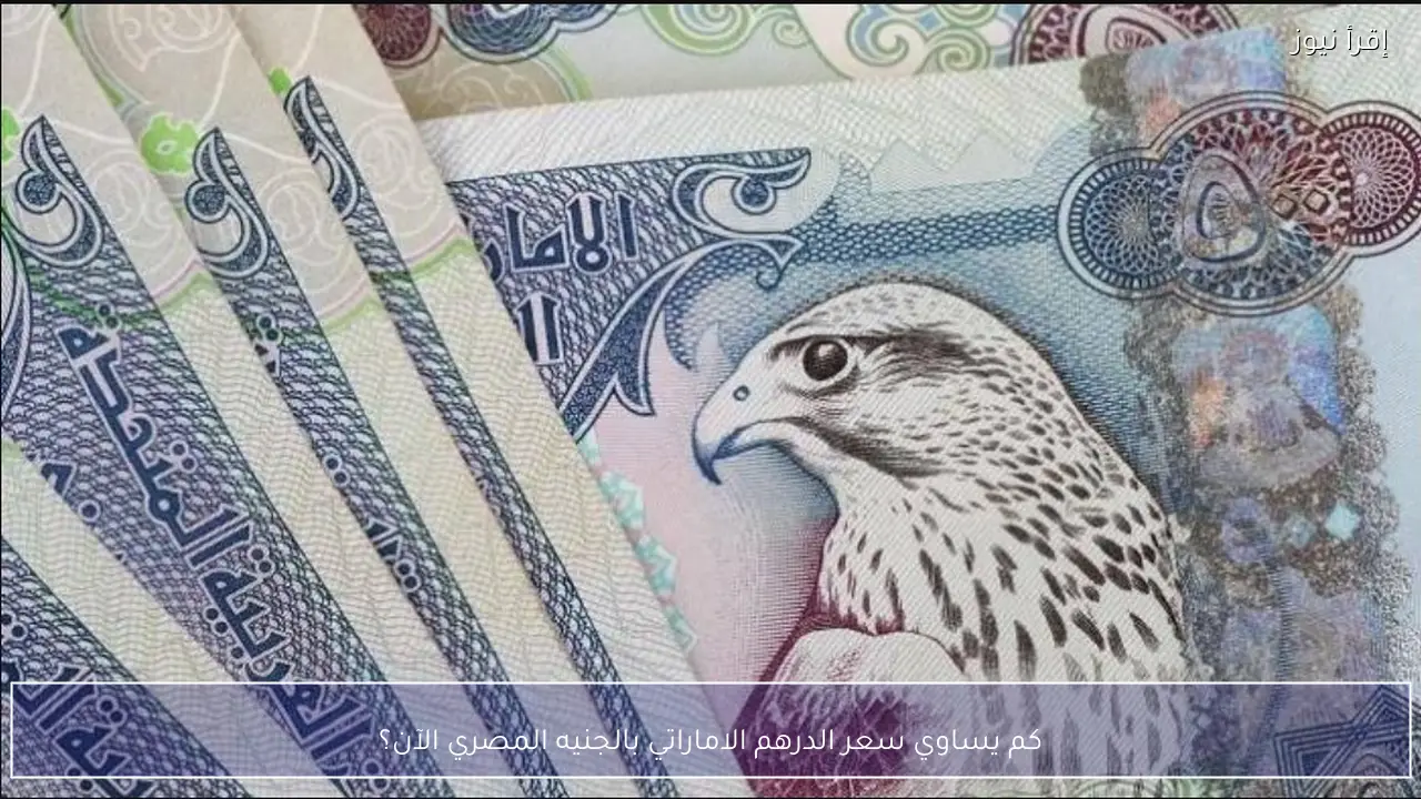 كم يساوي سعر الدرهم الاماراتي بالجنيه المصري الآن؟